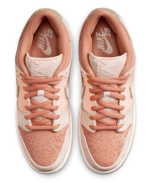 Nike SB Dunk Low Pro Premium Skate Shoes – Trocadéro Gardens